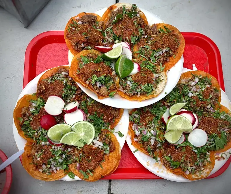 Flecha Cantina Menu With Prices