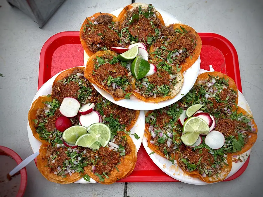 Flecha Cantina Menu With Prices